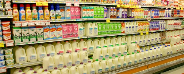 Oat milk, almond, dairy or soy? A dietitian breaks down your 'milk' options