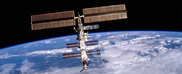 ISS crew just found an elusive air leak using floating tea leaves