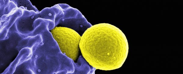 As the world focuses on coronavirus another devastating health threat is brewing