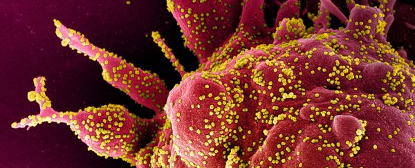 Can we stop COVID-19 from out-evolving a vaccine?