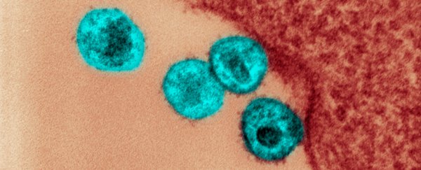 Some COVID-19 vaccine candidates may make people more vulnerable to HIV, scientists warn