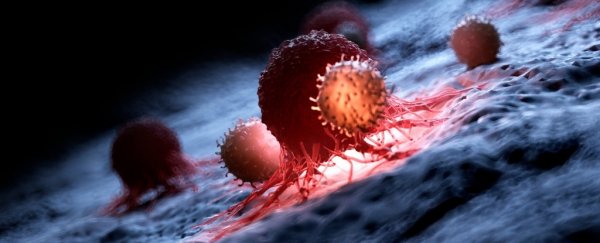 Exercise May Inhibit Cancer by Fuelling The Immune System, Study in Mice Suggests