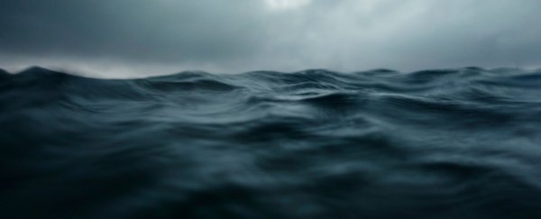 Even the deepest parts of the ocean are slowly beginning to warm