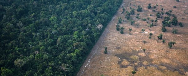 Chilling report suggests 1 out of 5 countries could be headed for ecosystem collapse