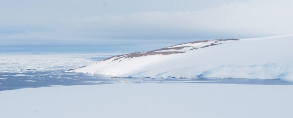 Melting Antarctic snow is revealing the preserved remains of 800-year-old penguins