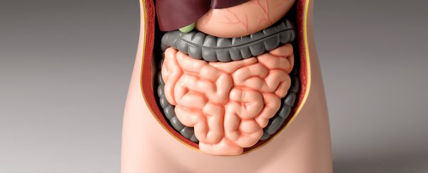 Mouth bacteria have been linked to severe forms of inflammatory bowel disease
