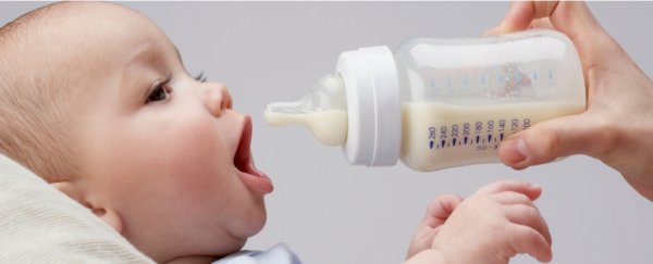 Could poop transplants in milk rebalance the microbiomes of C-section babies?