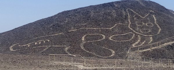 Scientists uncover gorgeous 2,000-year-old etching of a giant cat in Nazca desert
