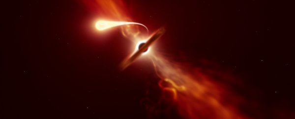 Witness the very last scream of light from a star devoured by a black hole
