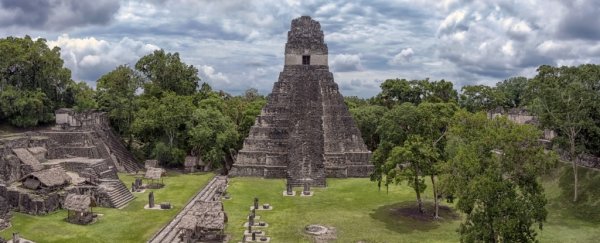 An ancient Maya city had a surprisingly effective water filtration system