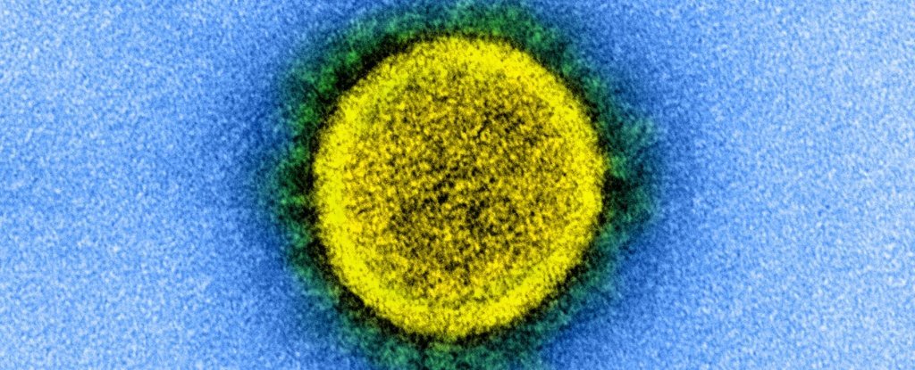 Transmission electron micrograph of a SARS-CoV-2 virus particle. 