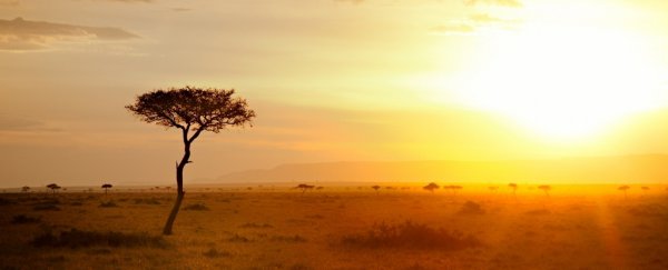 Earth's volatile environment 320,000 years ago helped make humans so adaptable