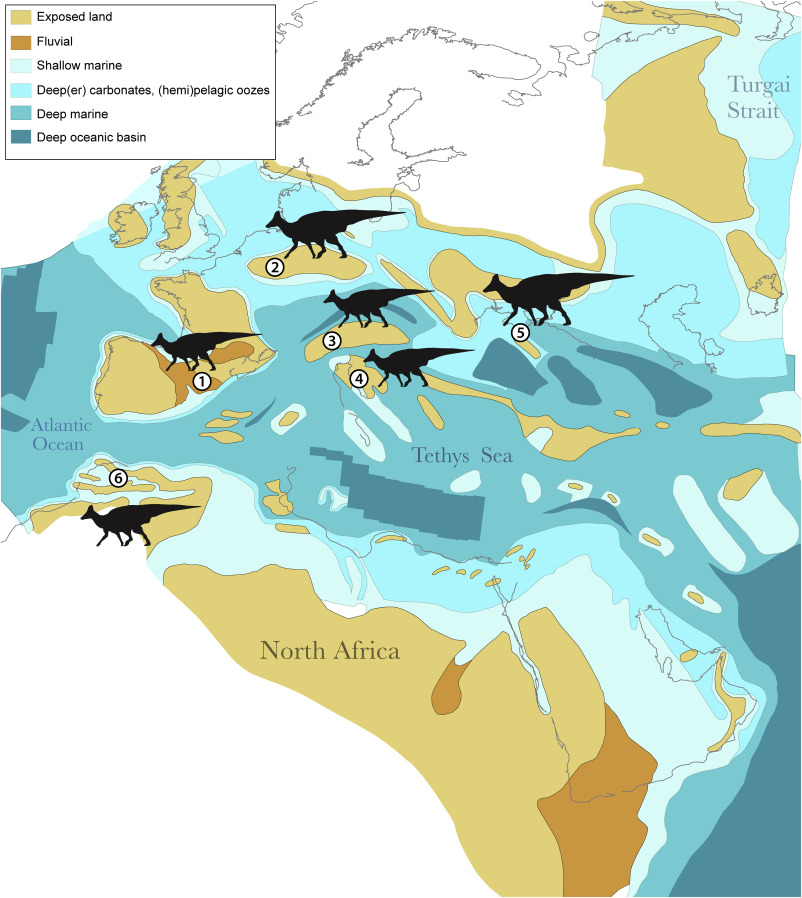 dystrybucja hadrozaurów afryka