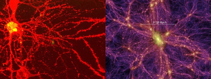 neuron galaxy