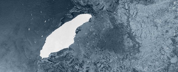 World's biggest iceberg is on a collision course with a remote penguin sanctuary