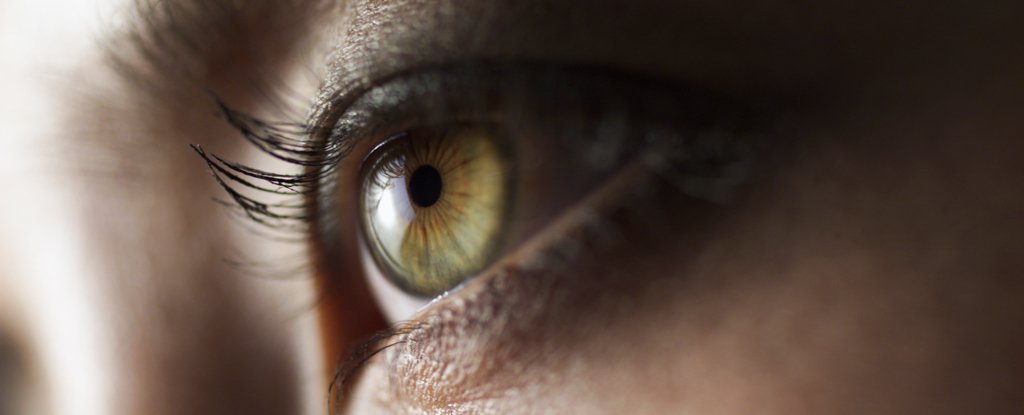 Photo of Vedci nachádzajú v ľudskom oku tkanivo, ktoré je odolné voči SARS-CoV-2