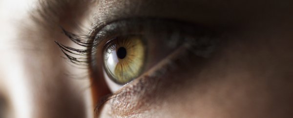 Scientists find tissue in the human eye that appears resistant to SARS-CoV-2