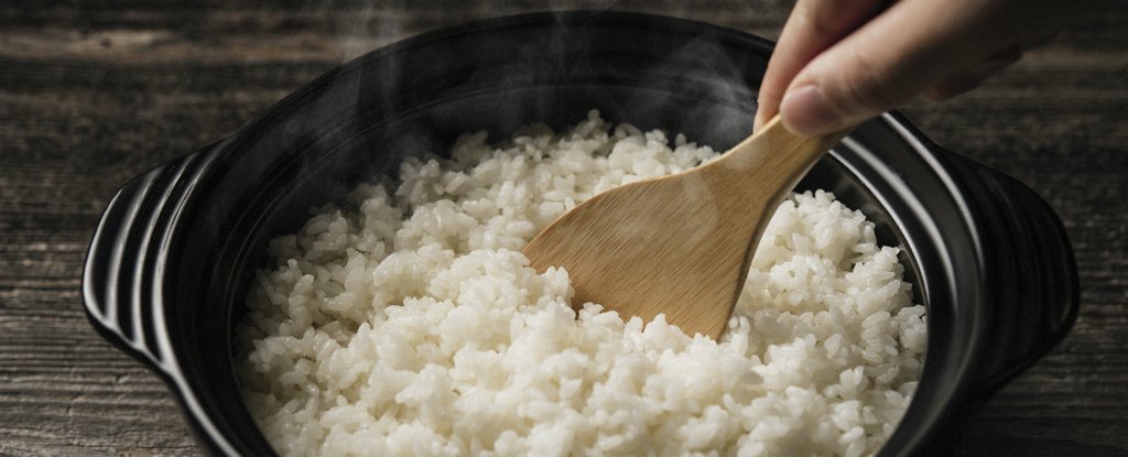 Los científicos dicen que este nuevo truco para cocinar arroz elimina el arsénico pero conserva los nutrientes