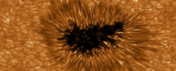 Astronomers predict giant sunspot cluster coinciding with Thanksgiving