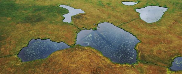 2 °C of warming could open the floodgates for 230 billion tons of carbon to escape