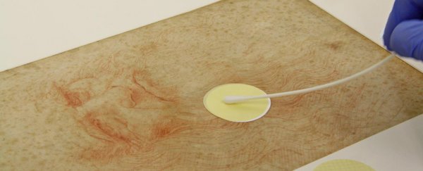 da Vinci's drawings contain a surprising mix of bacteria, fungi, and human DNA