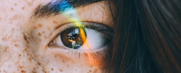 Brain scans confirm there's a part of you that remains 'you' throughout your life