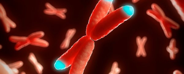 In a first, scientists say they've partially reversed a cellular aging process in humans