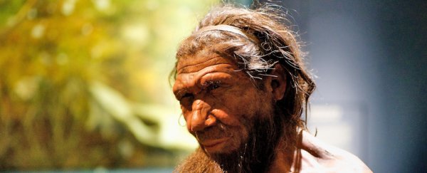 Neanderthal children grew up and were weaned in a similar way to humans