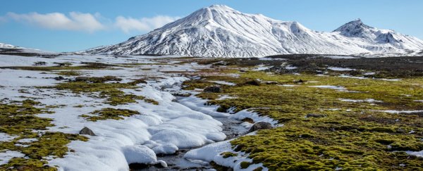 Here's how microbes help to hoard Earth's greatest greenhouse gas reserves