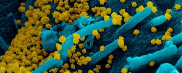 Startling case study finds asymptomatic COVID-19 carrier who shed virus for 70 days