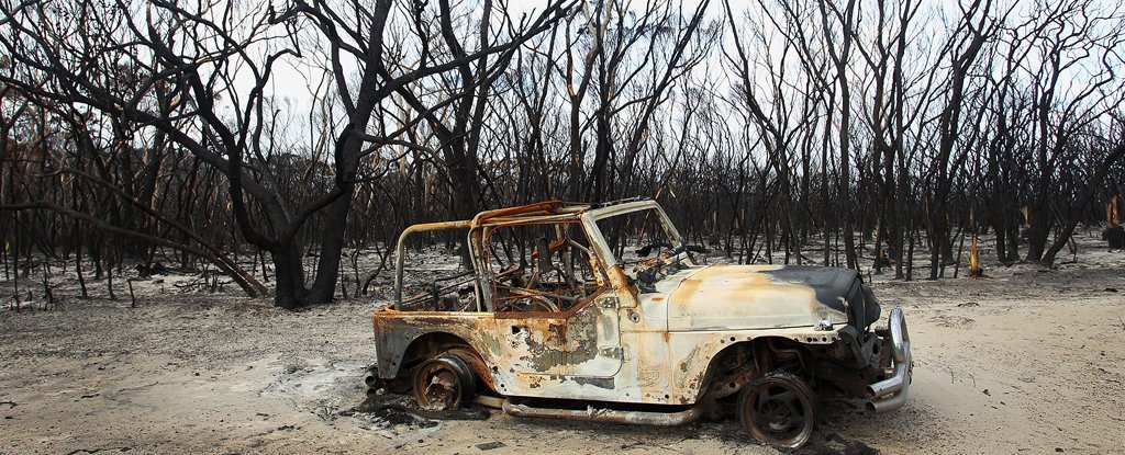 Kangaroo Island, February 2020. 