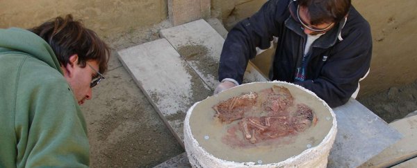 31,000-year-old grave reveals oldest known baby twin burial in the world