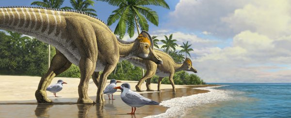 The fossil of a duckbill dinosaur has been found on the 'wrong' continent