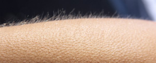 Music sends a pleasurable chill through the brain, and scientists can see it