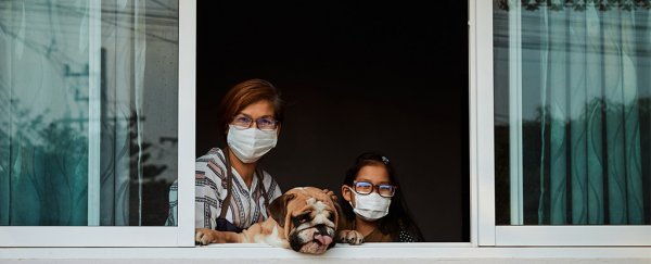 If you have COVID-19, US study shows 50% of your household will get sick within days