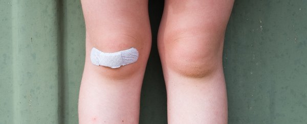 New hydrogel wound treatment activates immune system to reduce scars