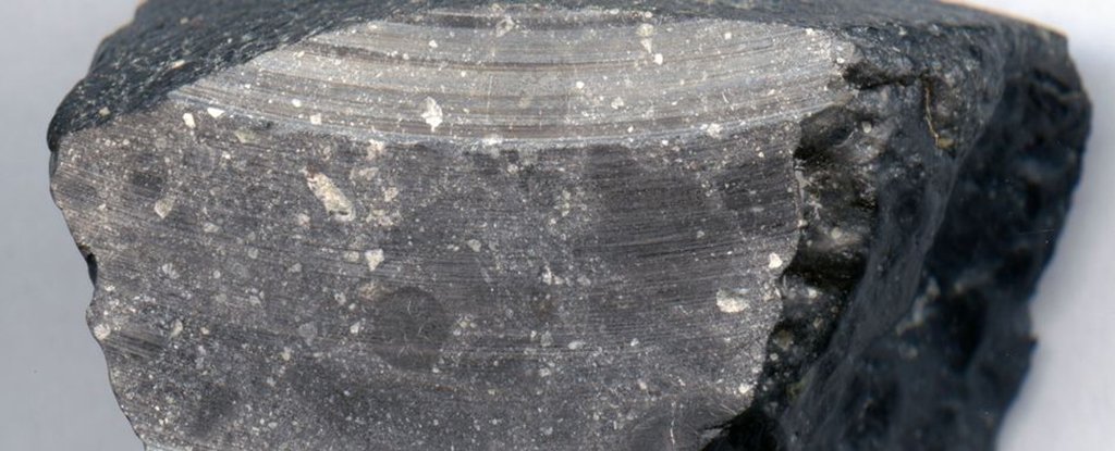 The 'Black Beauty' meteorite. 