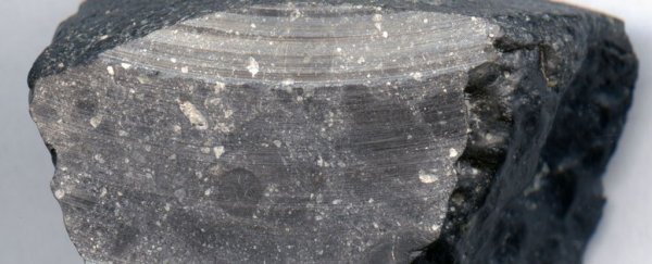 Ancient meteorite hints Mars had water before there was life on Earth