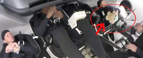 There was a special, extra crew member onboard yesterday's SpaceX launch - baby Yoda