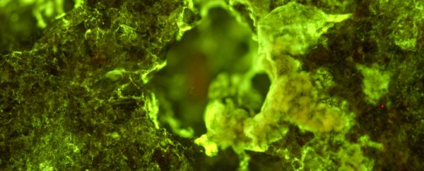 ISS experiment reveals how we could mine rocks in space with +400% efficiency