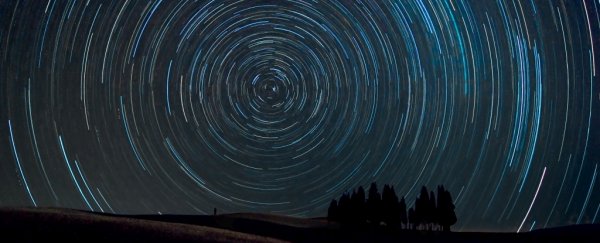 The rings of ancient trees may hold tales of epic space explosions