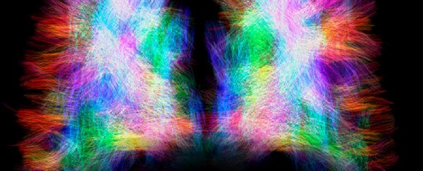 Here's the amazing way the sides of our brain adapt if they can't talk to each other