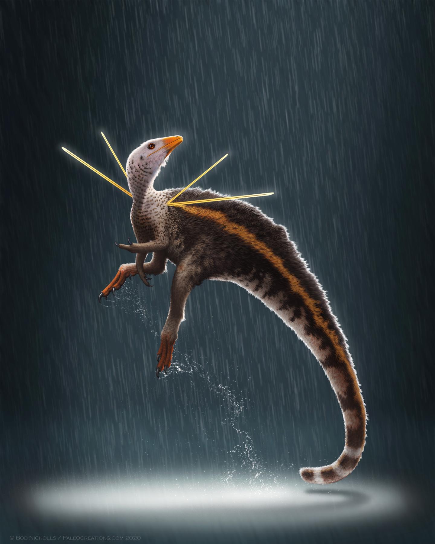 Artist's impression of Ubirajara jubatus. (© Bob Nicholls / Paleocreations.com 2020)