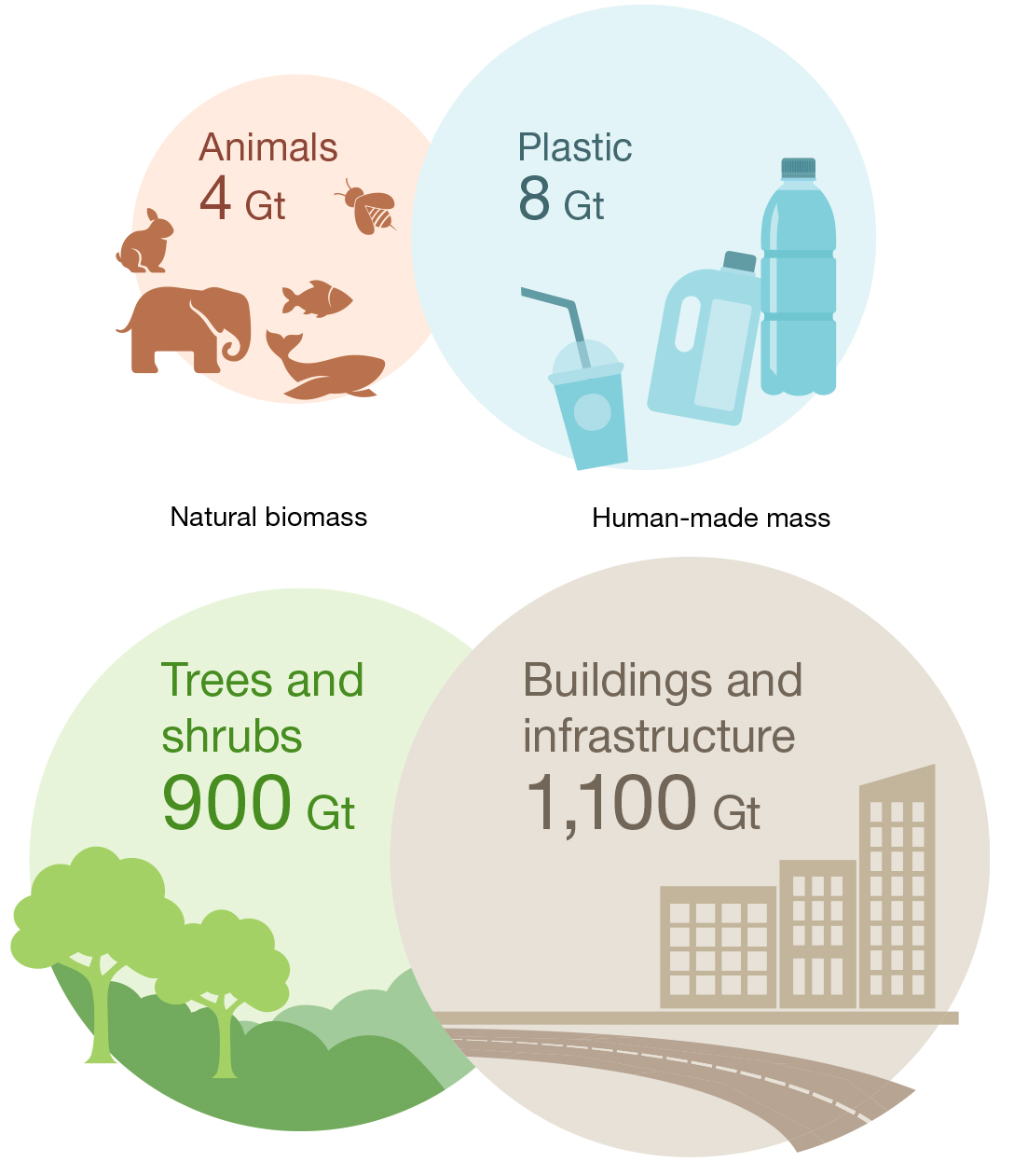 biomass of plants and animals compared with plastic and construction mass