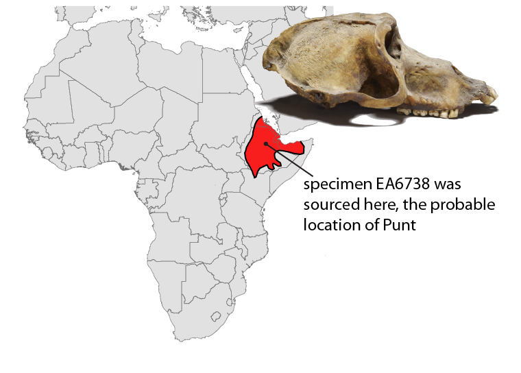 africa map for press