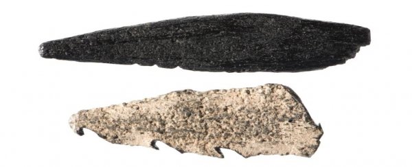 Scientists just found out what these barbed artifacts from a vanished land really are
