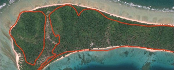 Weirdly, some small islands are growing bigger in the face of rising seas