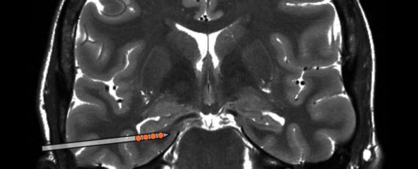 How our brains track other people's location is weirdly consistent between brains