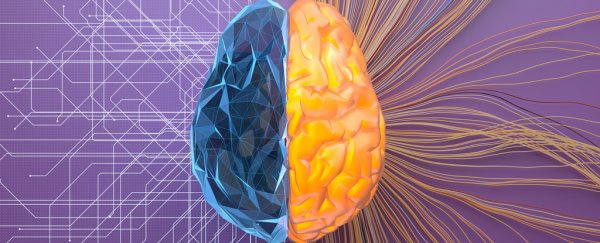 You are surrounded by neural networks. Here's how they try to simulate the human brain