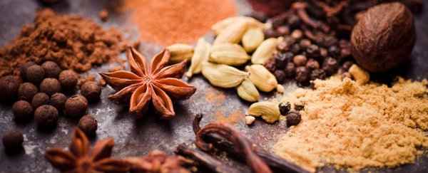 Here's how scientists check to make sure herbs and spices are the real deals